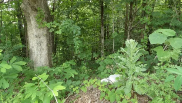 $450,000 | 0 Livingston Highway, Byrdstown, TN 38549