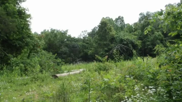 $450,000 | 0 Livingston Highway, Byrdstown, TN 38549