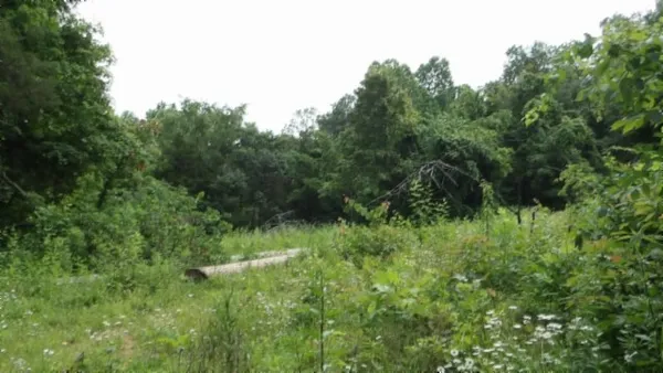 $450,000 | 0 Livingston Highway, Byrdstown, TN 38549