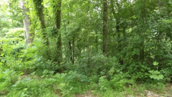 $450,000 | 0 Livingston Highway, Byrdstown, TN 38549