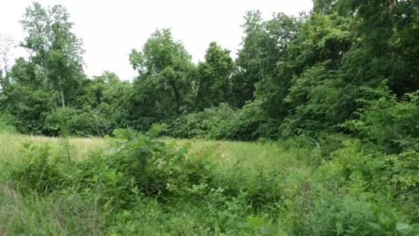 $450,000 | 0 Livingston Highway, Byrdstown, TN 38549