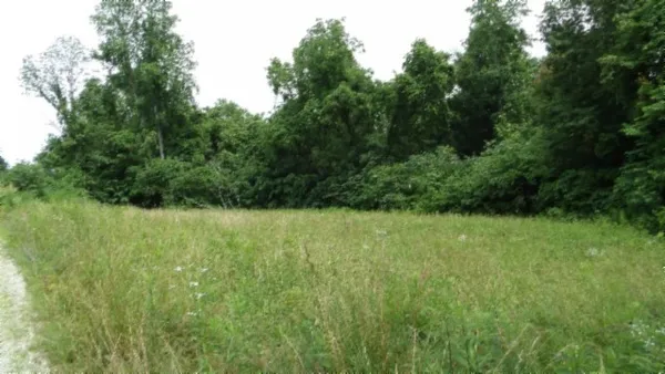 $450,000 | 0 Livingston Highway, Byrdstown, TN 38549