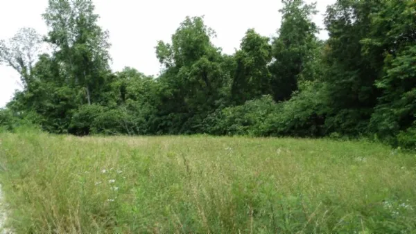 $450,000 | 0 Livingston Highway, Byrdstown, TN 38549