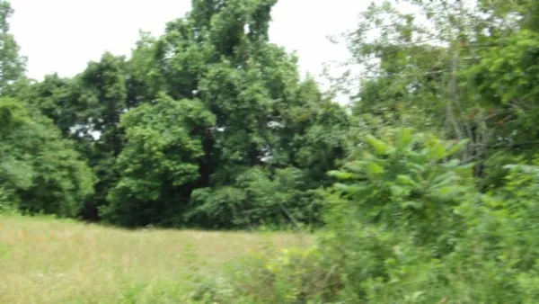 $450,000 | 0 Livingston Highway, Byrdstown, TN 38549