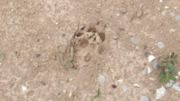 $450,000 | 0 Livingston Highway, Byrdstown, TN 38549