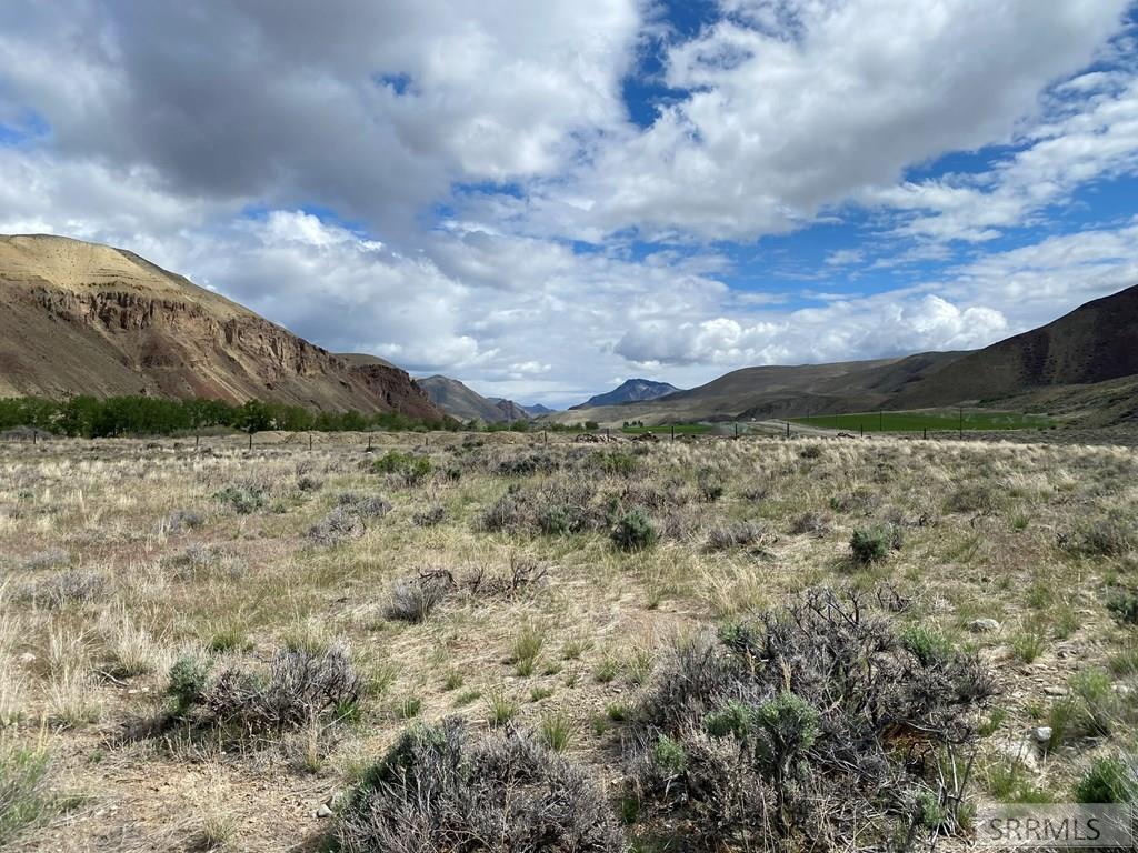 Lot 2 River's Edge Road Challis, ID 83226 - Photo 1 of 3 Main View