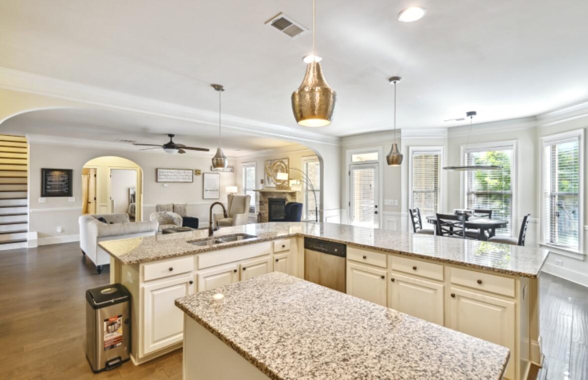 204 Rising Star Court Lexington, SC 29072 - Photo 6 of 32 Kitchen