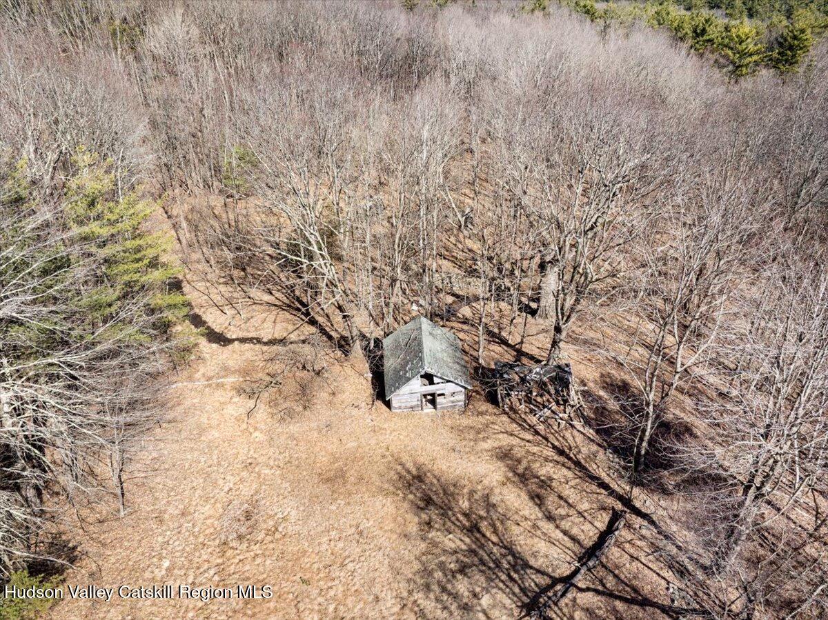305 Maple Lawn Road Cairo, NY 12473 - Photo 4 of 14 IMG_1746