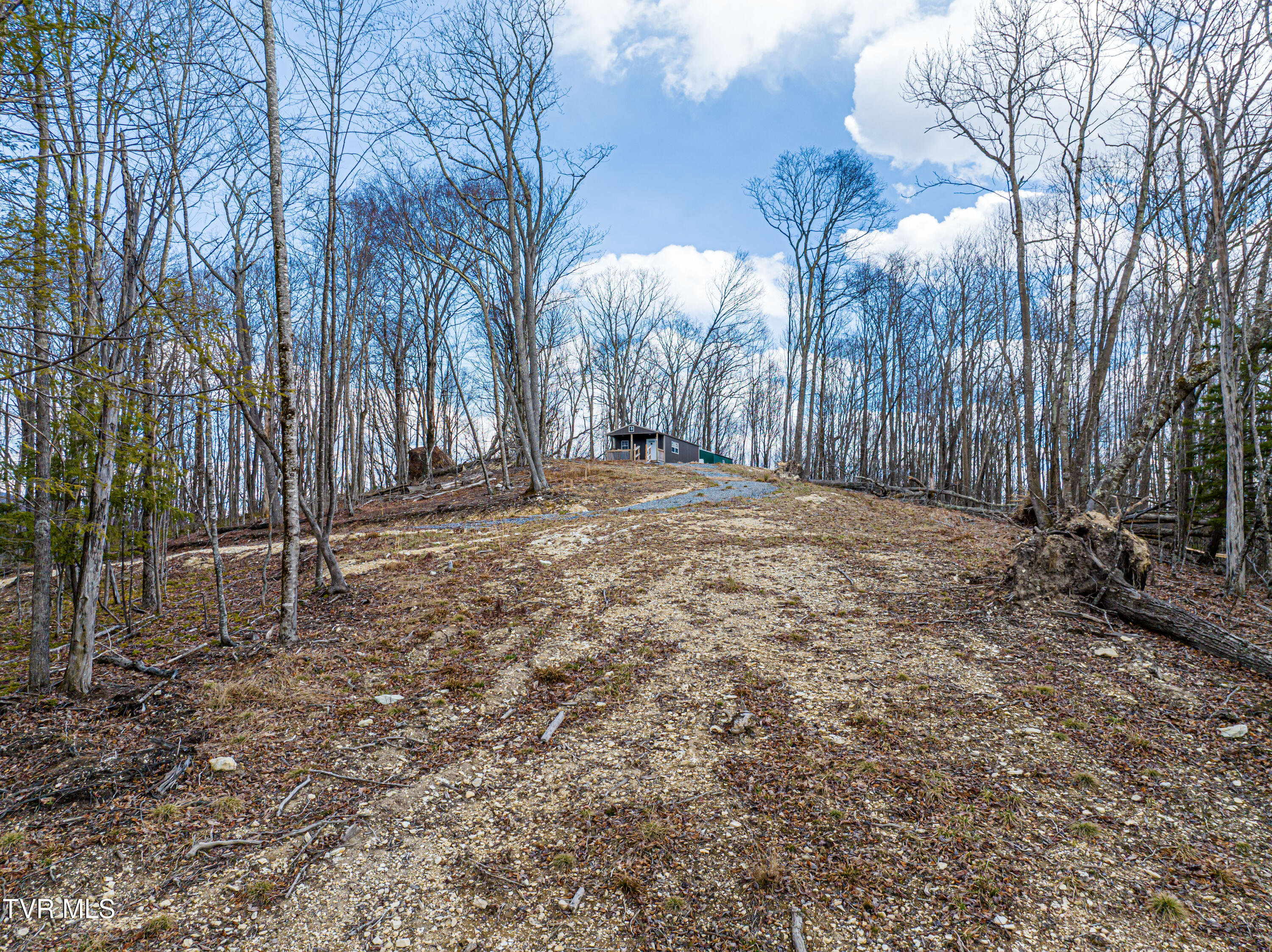 108 Whitetop Gap Road Damascus, VA 24236 - Photo 3 of 39 Whitetop Gap-11