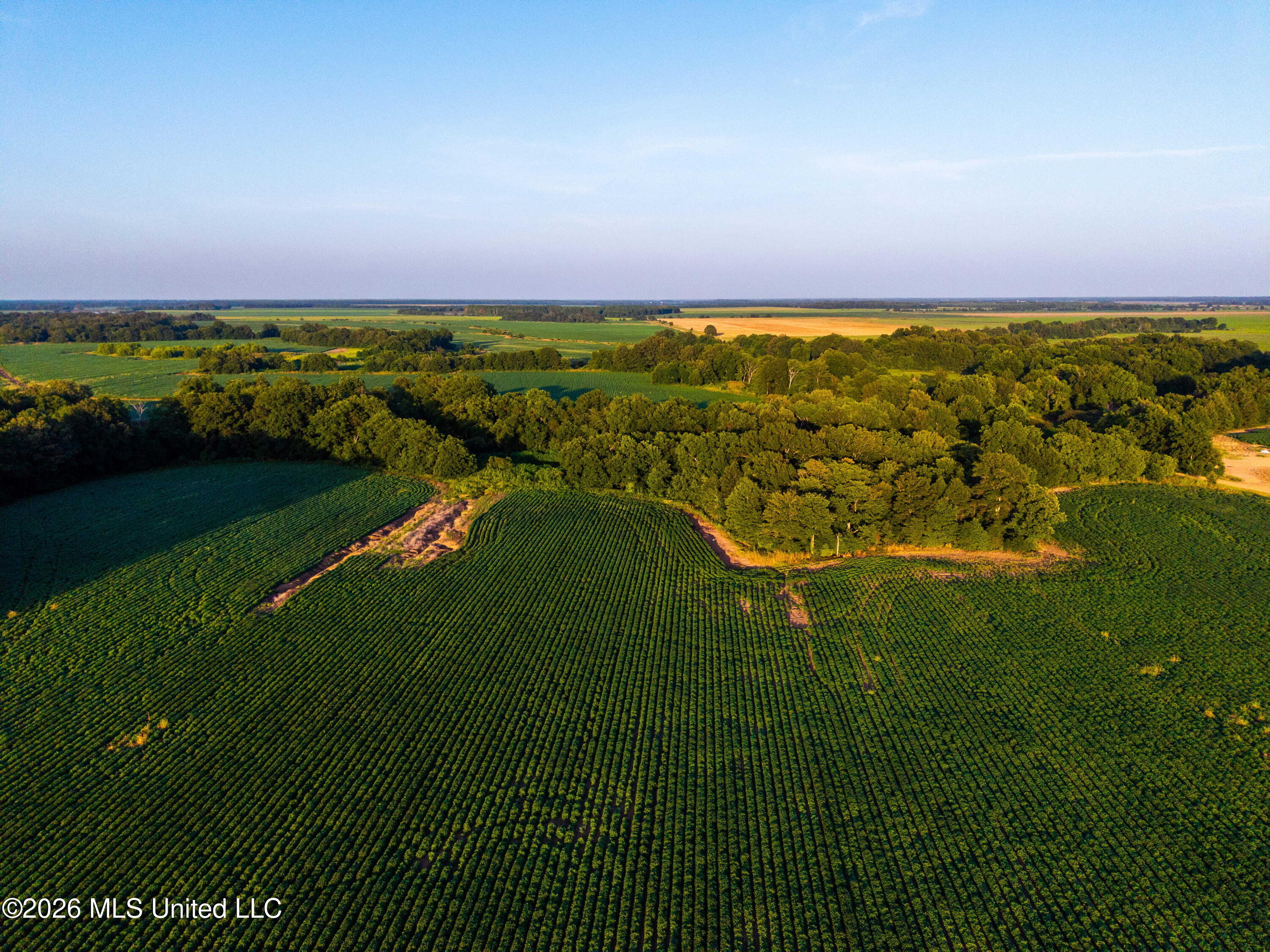 West Sturdivant White Rock Road Drew, MS 38737 - Photo 29 of 31 DJI_20250722192618_0057_D