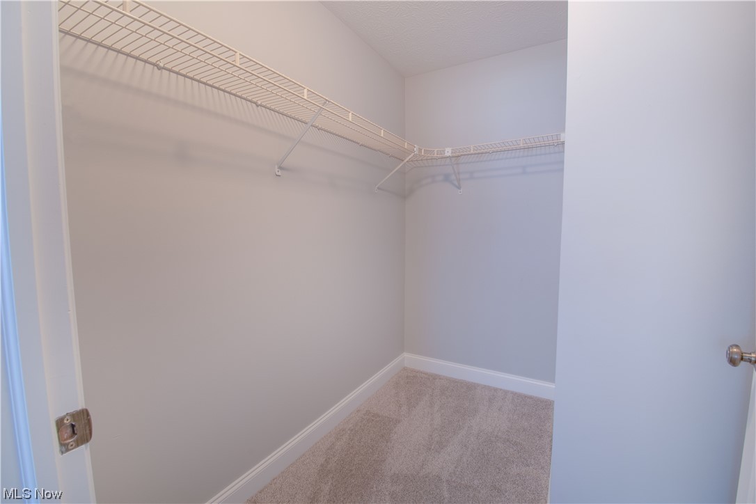 105 Furnace Run Road, Unit 105 Akron, OH 44307 - Photo 13 of 22 Walk-in closet