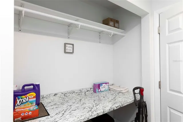 a view of a backyard with plants and large trees