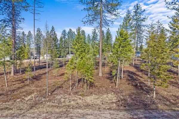 $110,000 | Lot 9 Southshore Diamond Lake Road, Newport, WA 99156