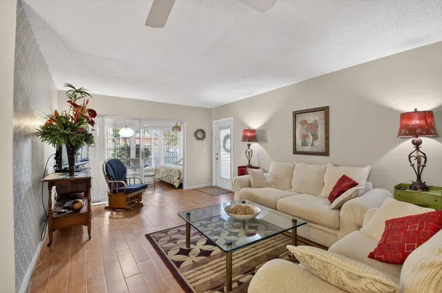 a living room with furniture a rug and a potted plant