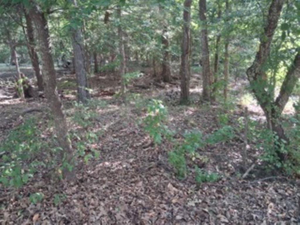 Tbd Summit Ridge Murchison, TX 75778 - Photo 3 of 16 Nice level lot with variety of trees
