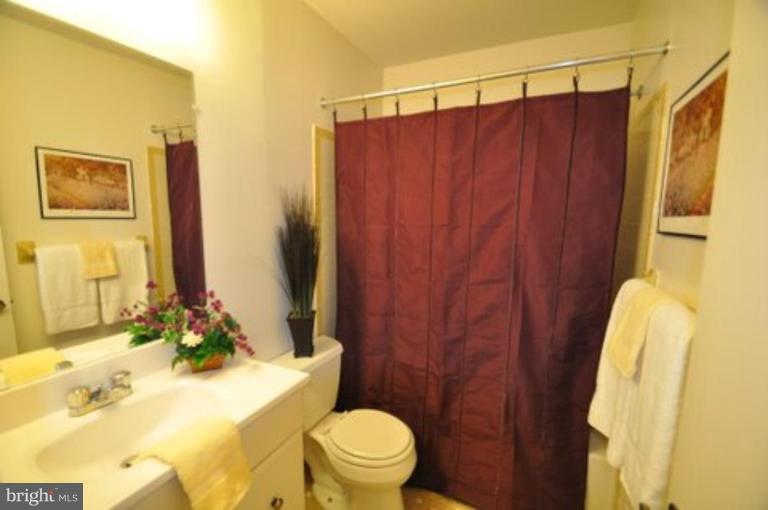 7342 Greentree Road Bethesda, MD 20817 - Photo 22 of 29 Bath #1