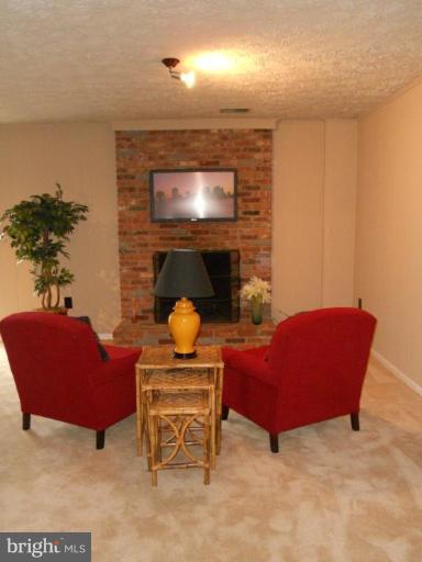 7342 Greentree Road Bethesda, MD 20817 - Photo 25 of 29 Fireplace