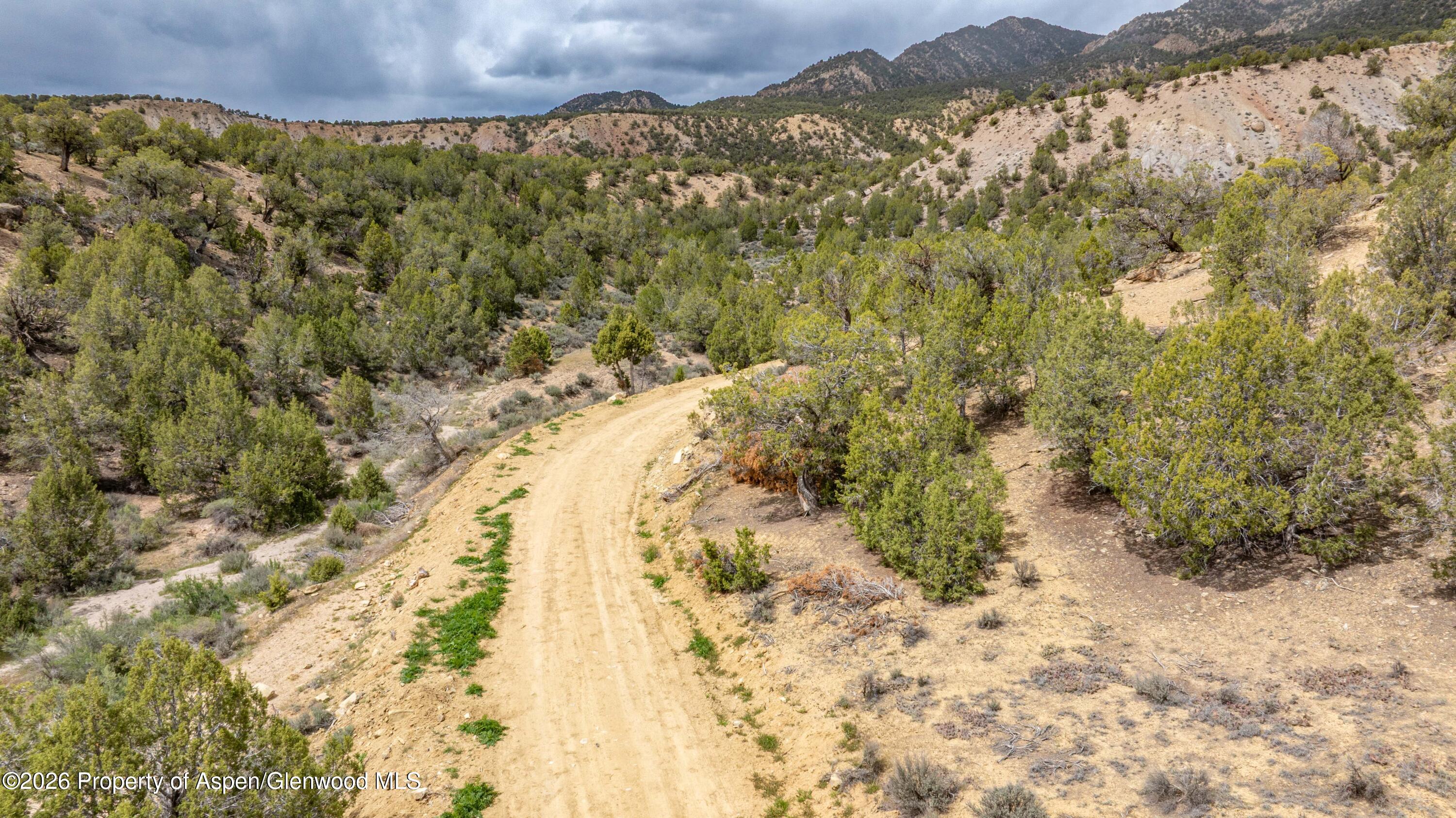 1171 Scutter Lane Rifle, CO 81650 - Photo 14 of 16 6