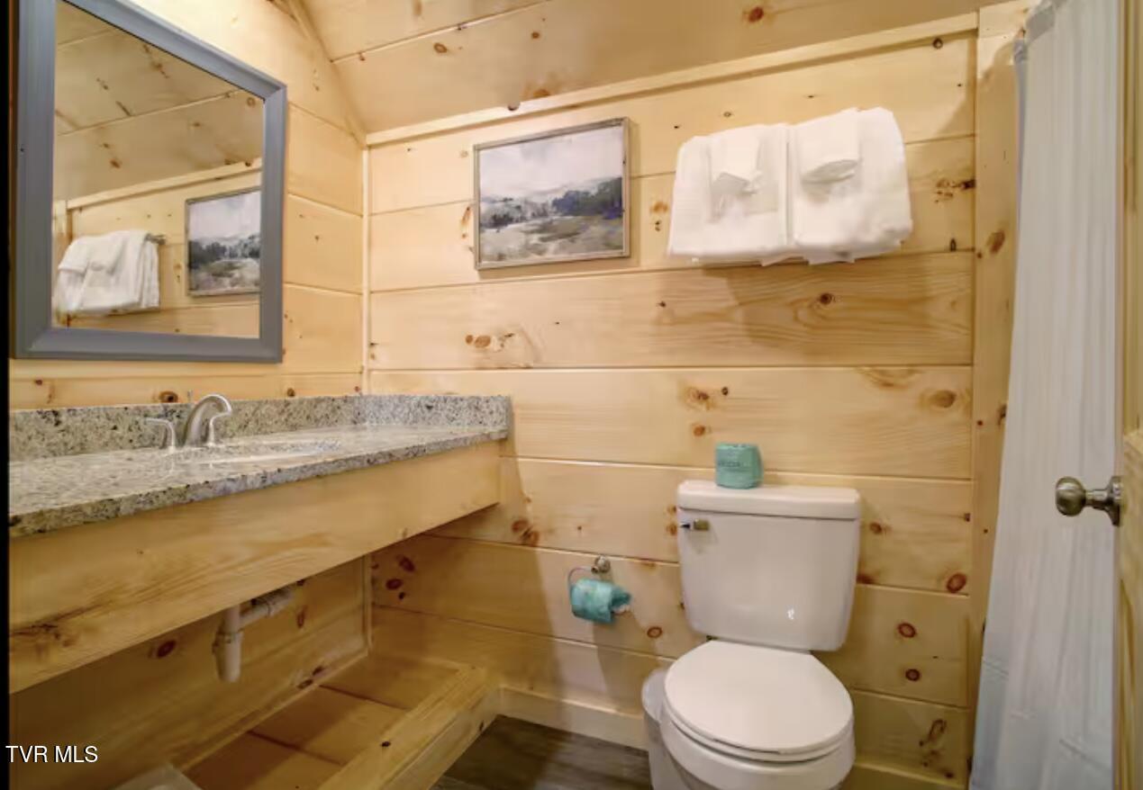 821 String Run Way Pigeon Forge, TN 37863 - Photo 56 of 67 IMG_7801