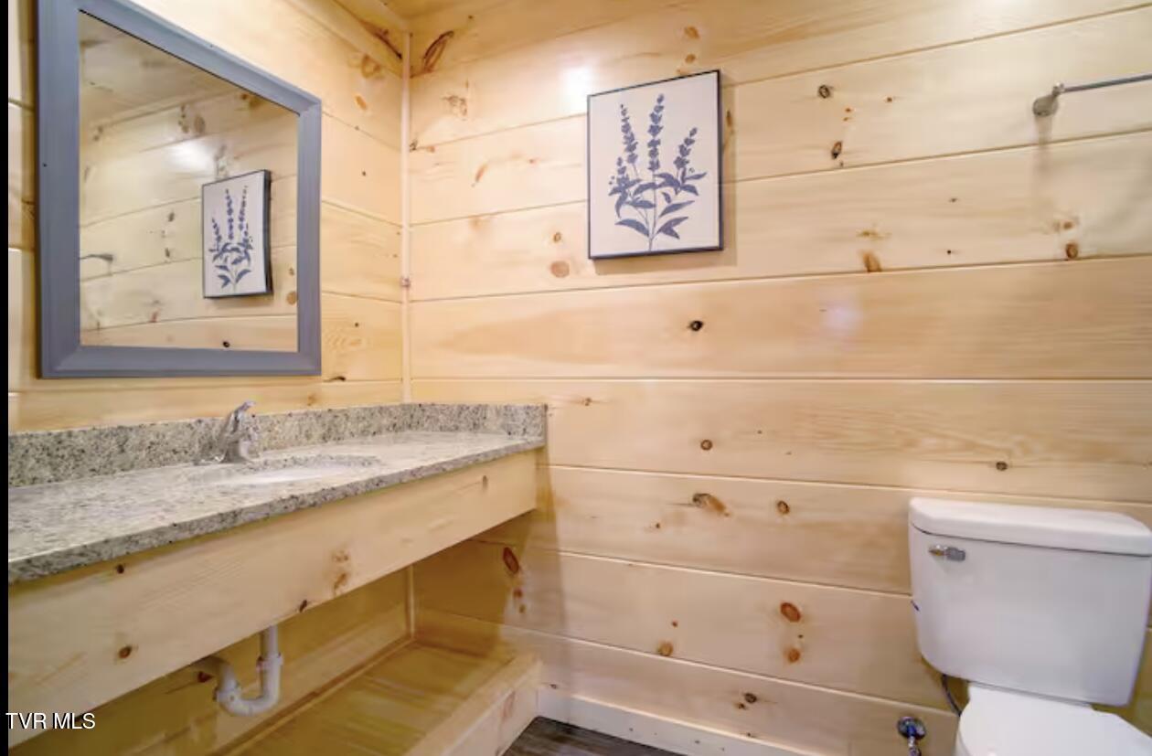 821 String Run Way Pigeon Forge, TN 37863 - Photo 58 of 67 IMG_7819