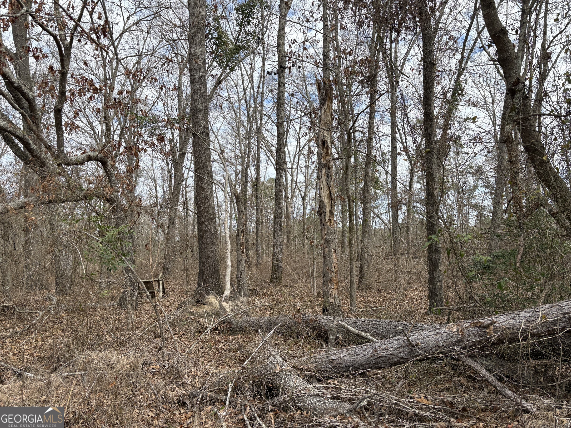 L8 Quaker Road Keysville, GA 30816 - Photo 4 of 10