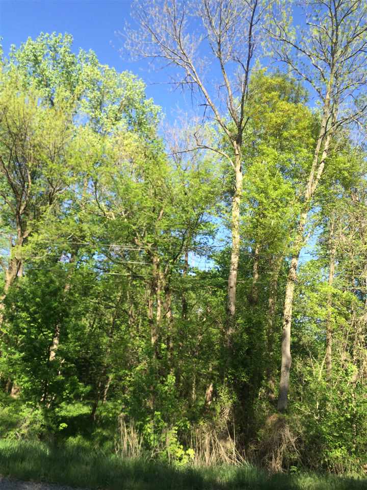 Tract 2 East Springtown Road Oaktown, IN 47516 - Photo 1 of 1 Gallery Image 1