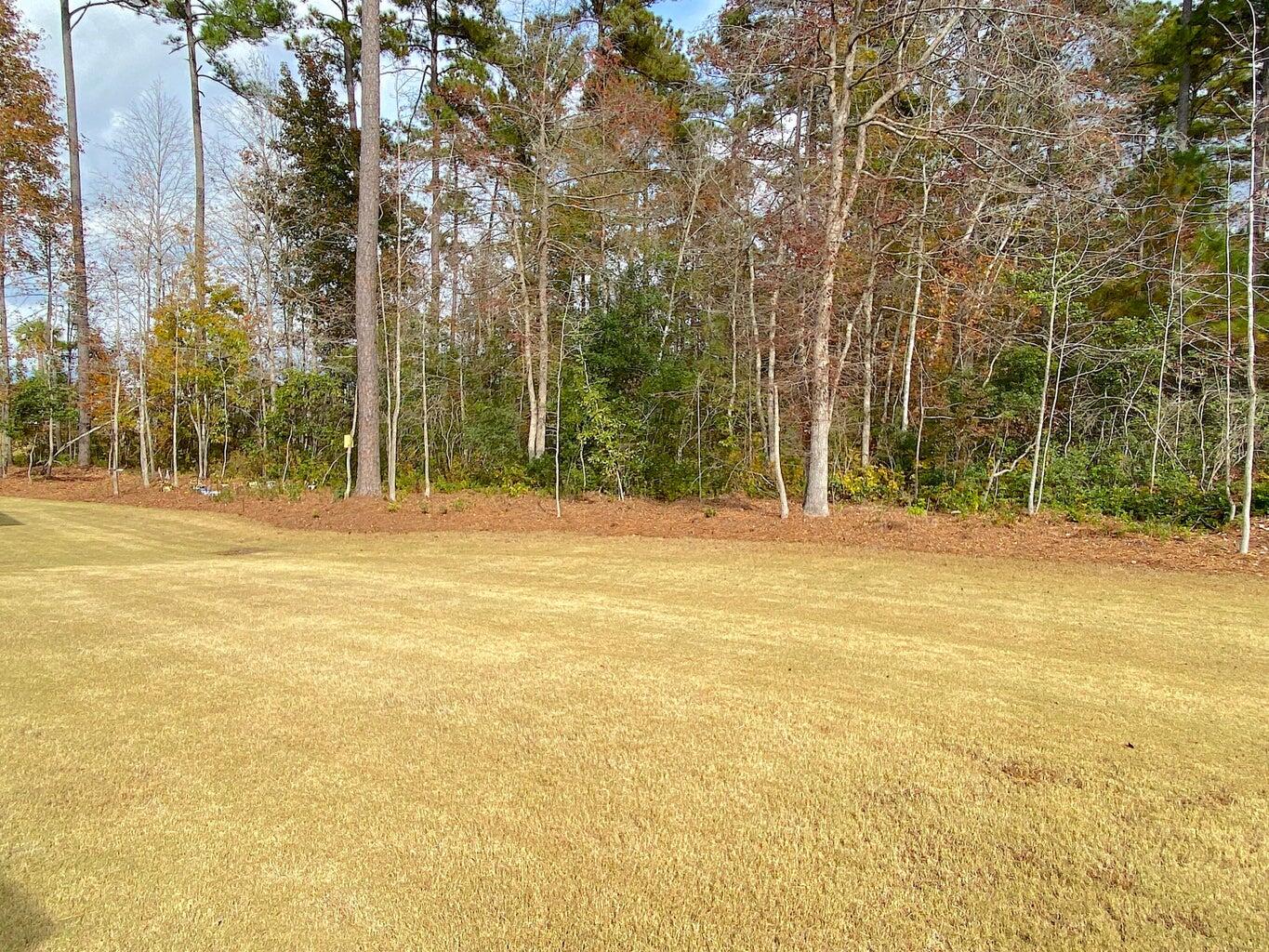 236 Maple Valley Road Summerville, SC 29486 - Photo 17 of 22 mv17