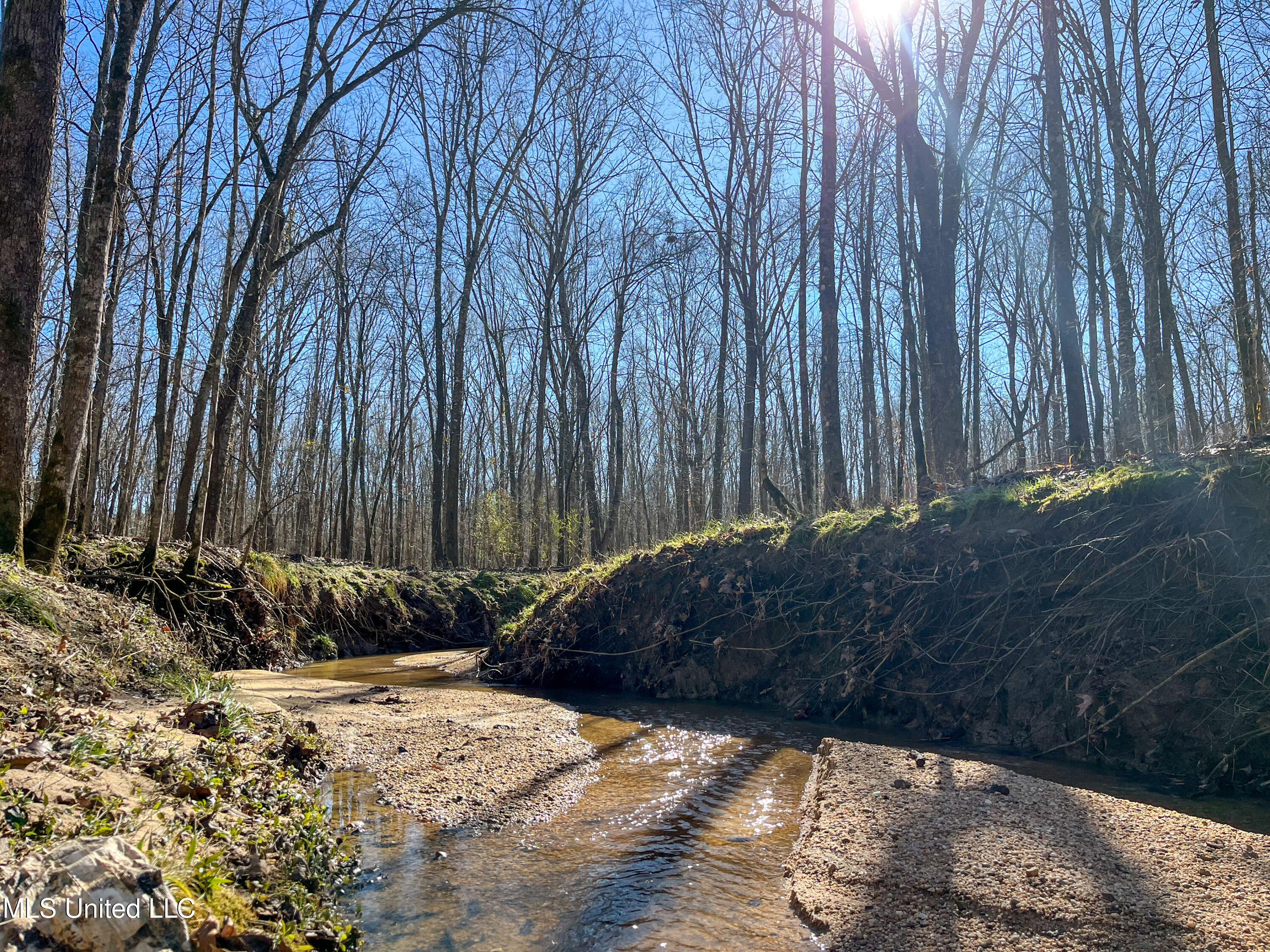 505 Highway Lawrence Ms 39336 Lawrence, MS 39336 - Photo 11 of 46 IMG_2039