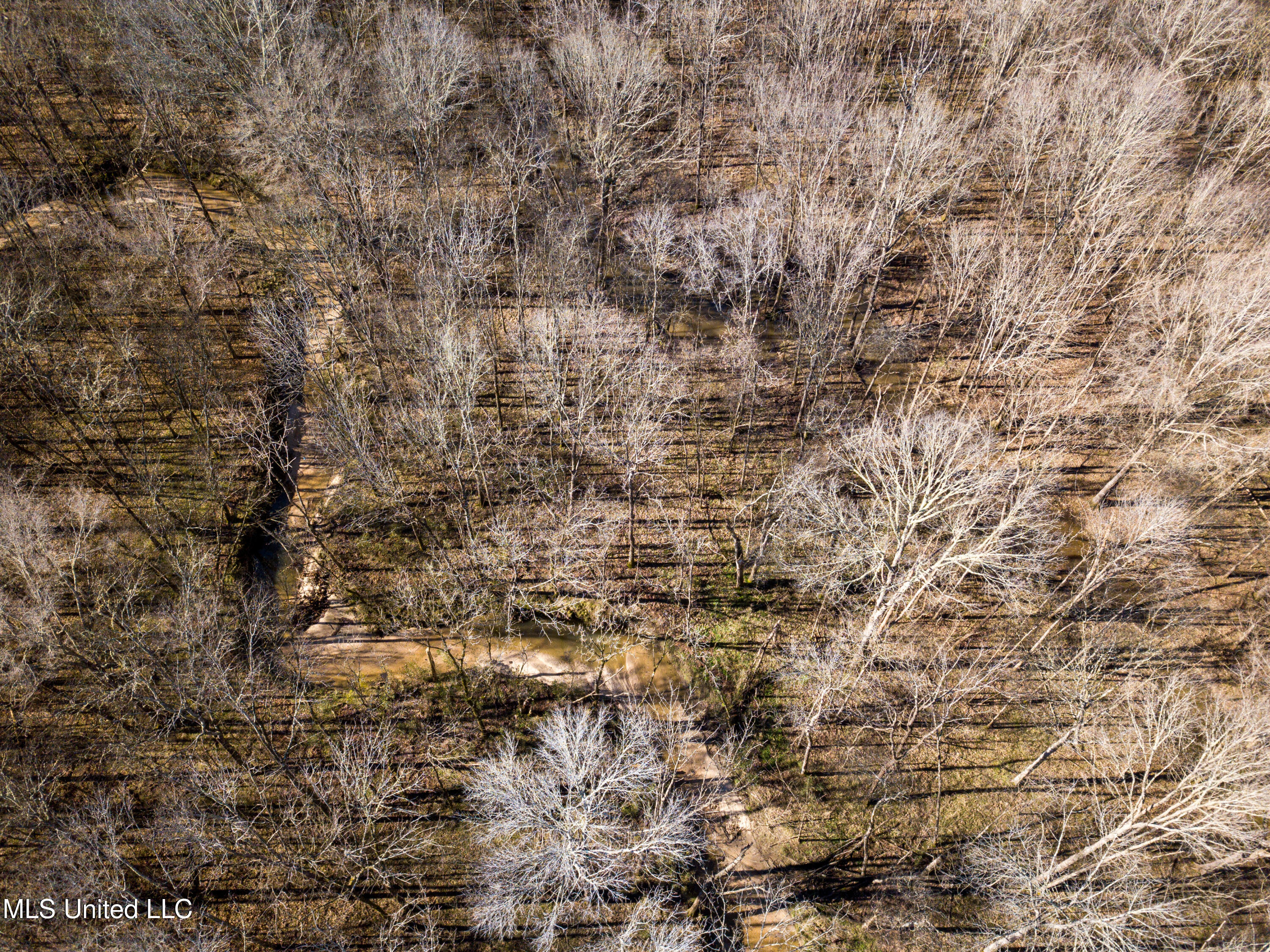 505 Highway Lawrence Ms 39336 Lawrence, MS 39336 - Photo 12 of 46 DJI_0713