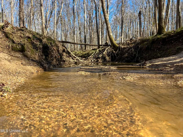 $99,311 | 505 Highway Lawrence Ms 39336, Lawrence, MS 39336