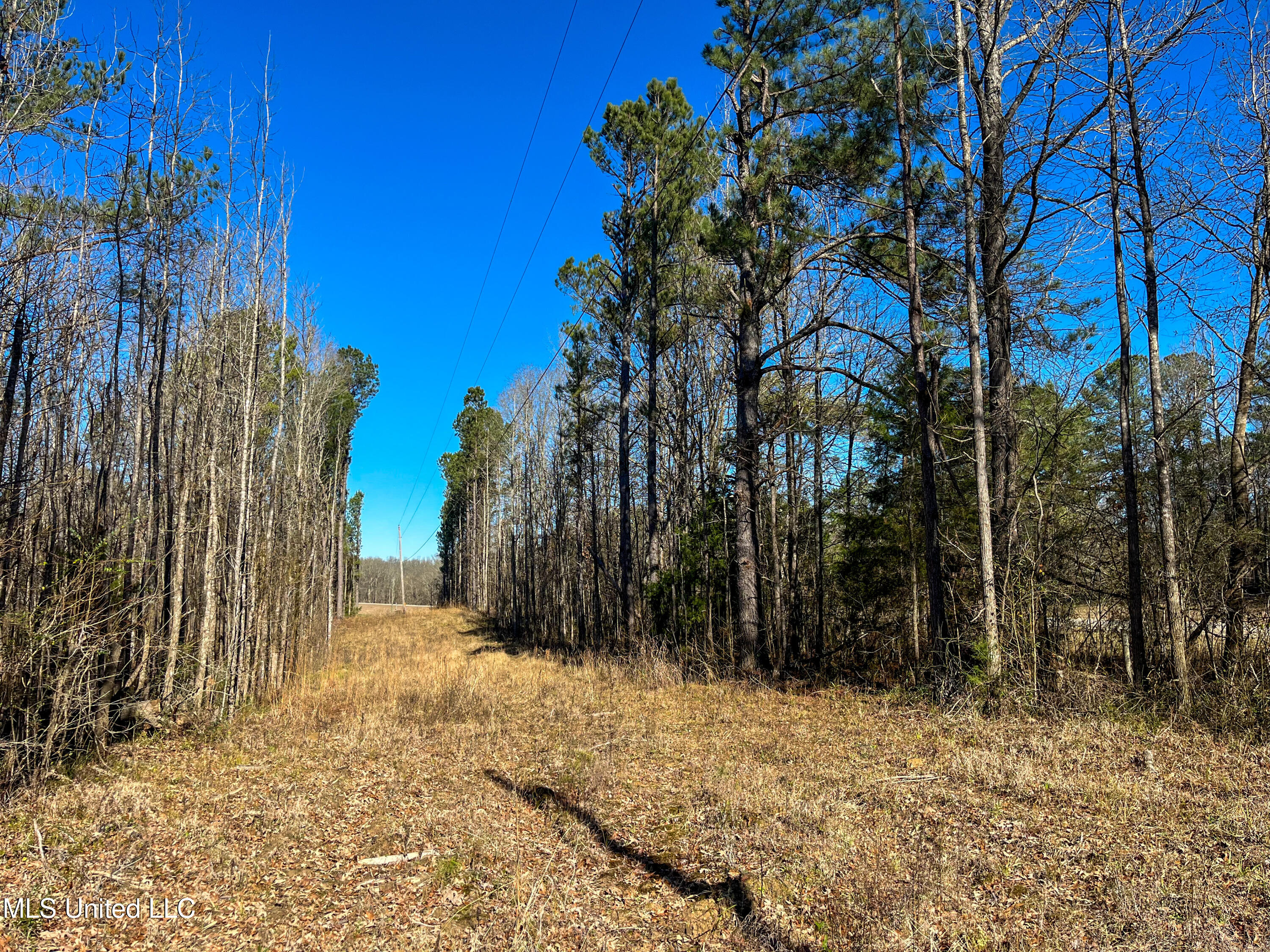 505 Highway Lawrence Ms 39336 Lawrence, MS 39336 - Photo 16 of 46 IMG_2058