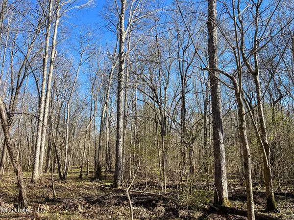 $99,311 | 505 Highway Lawrence Ms 39336, Lawrence, MS 39336