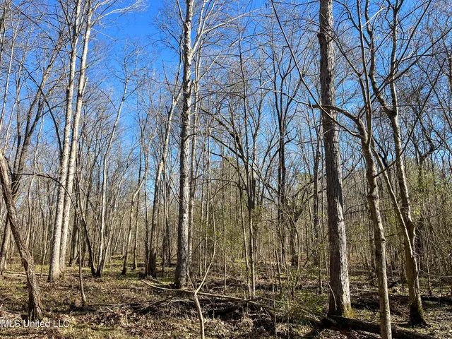 $99,311 | 505 Highway Lawrence Ms 39336, Lawrence, MS 39336