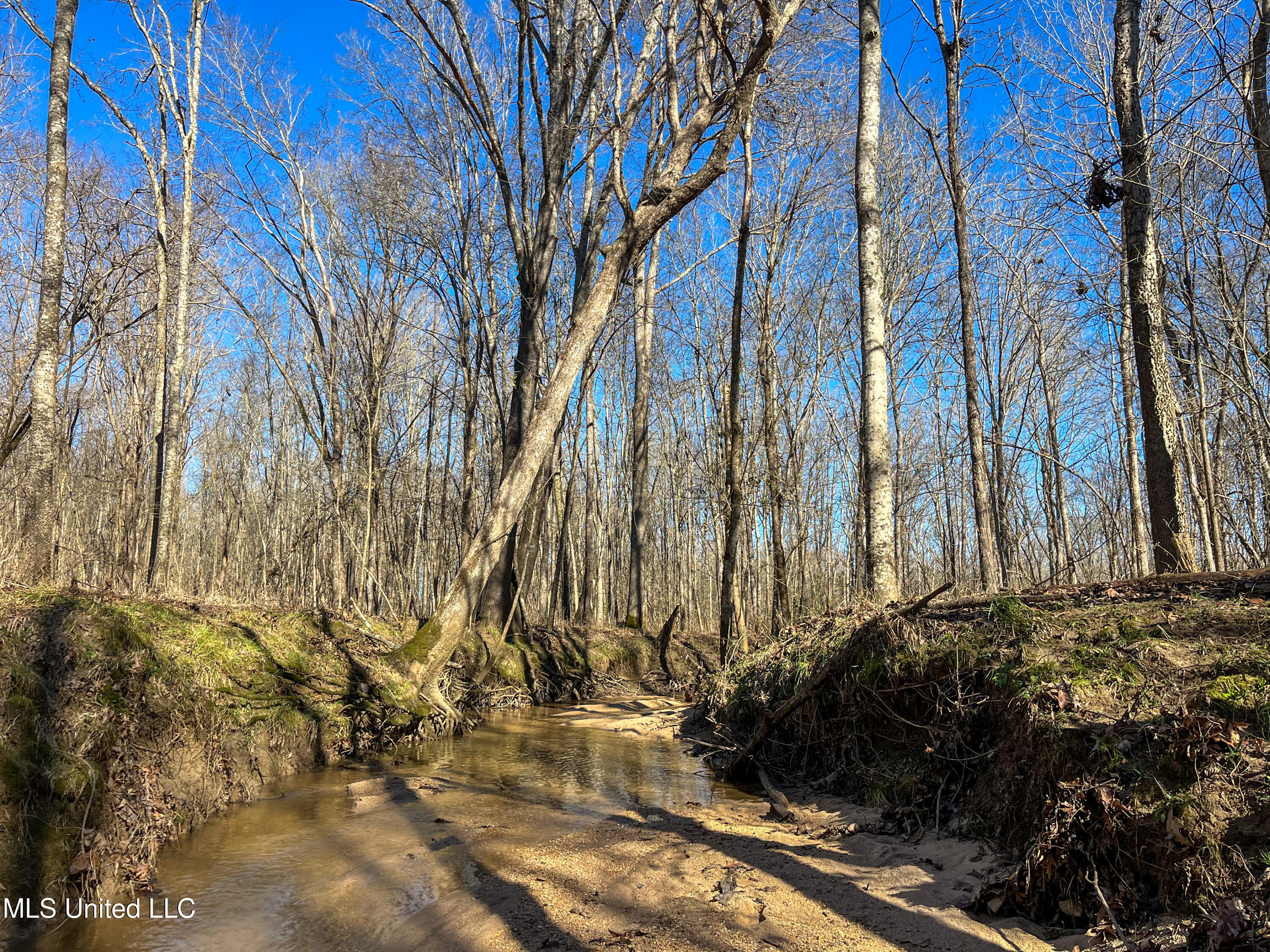 505 Highway Lawrence Ms 39336 Lawrence, MS 39336 - Photo 21 of 46 IMG_2038