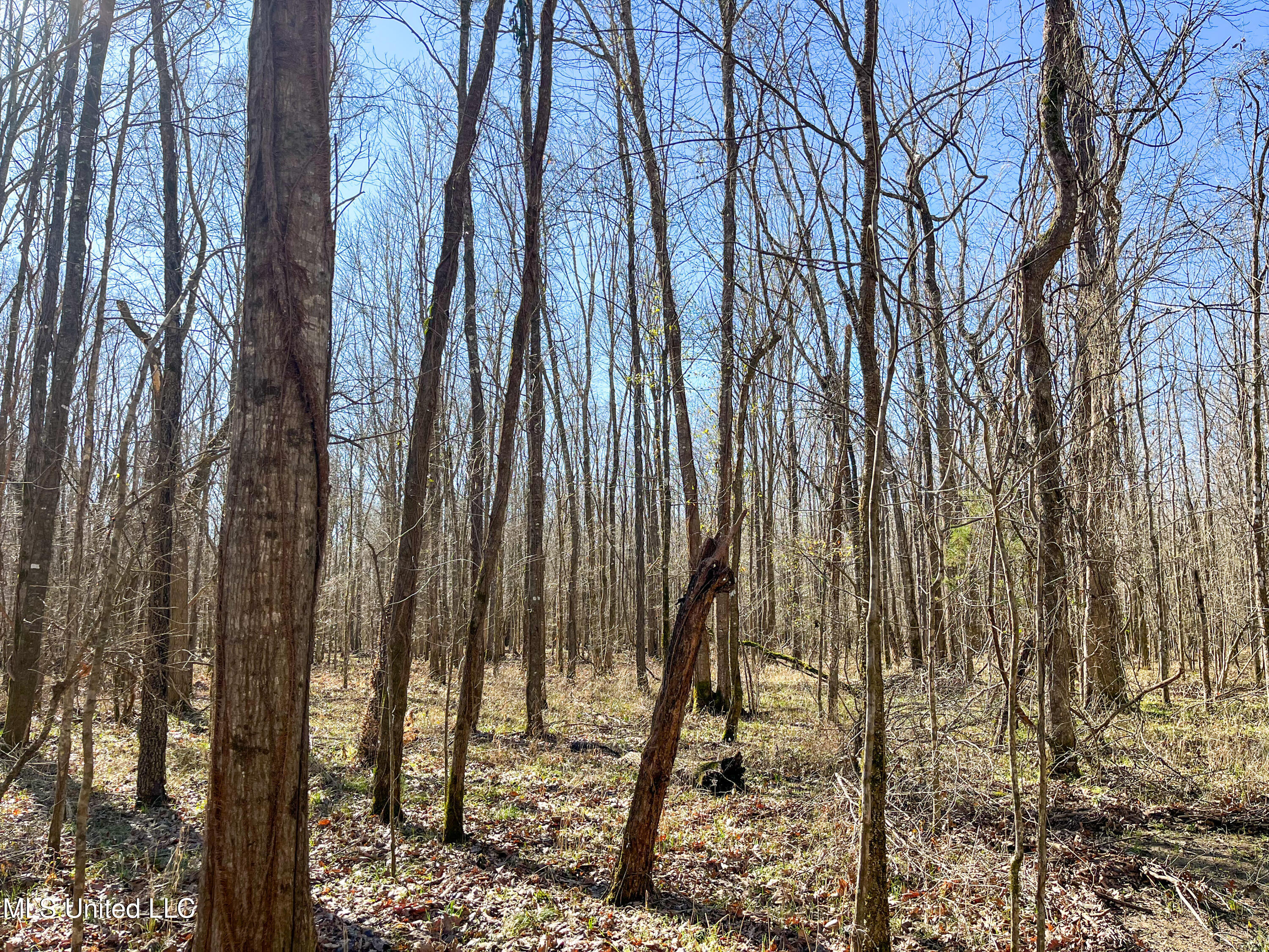 505 Highway Lawrence Ms 39336 Lawrence, MS 39336 - Photo 22 of 46 IMG_2049
