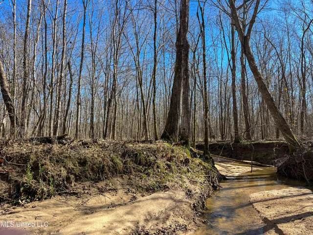 $99,311 | 505 Highway Lawrence Ms 39336, Lawrence, MS 39336