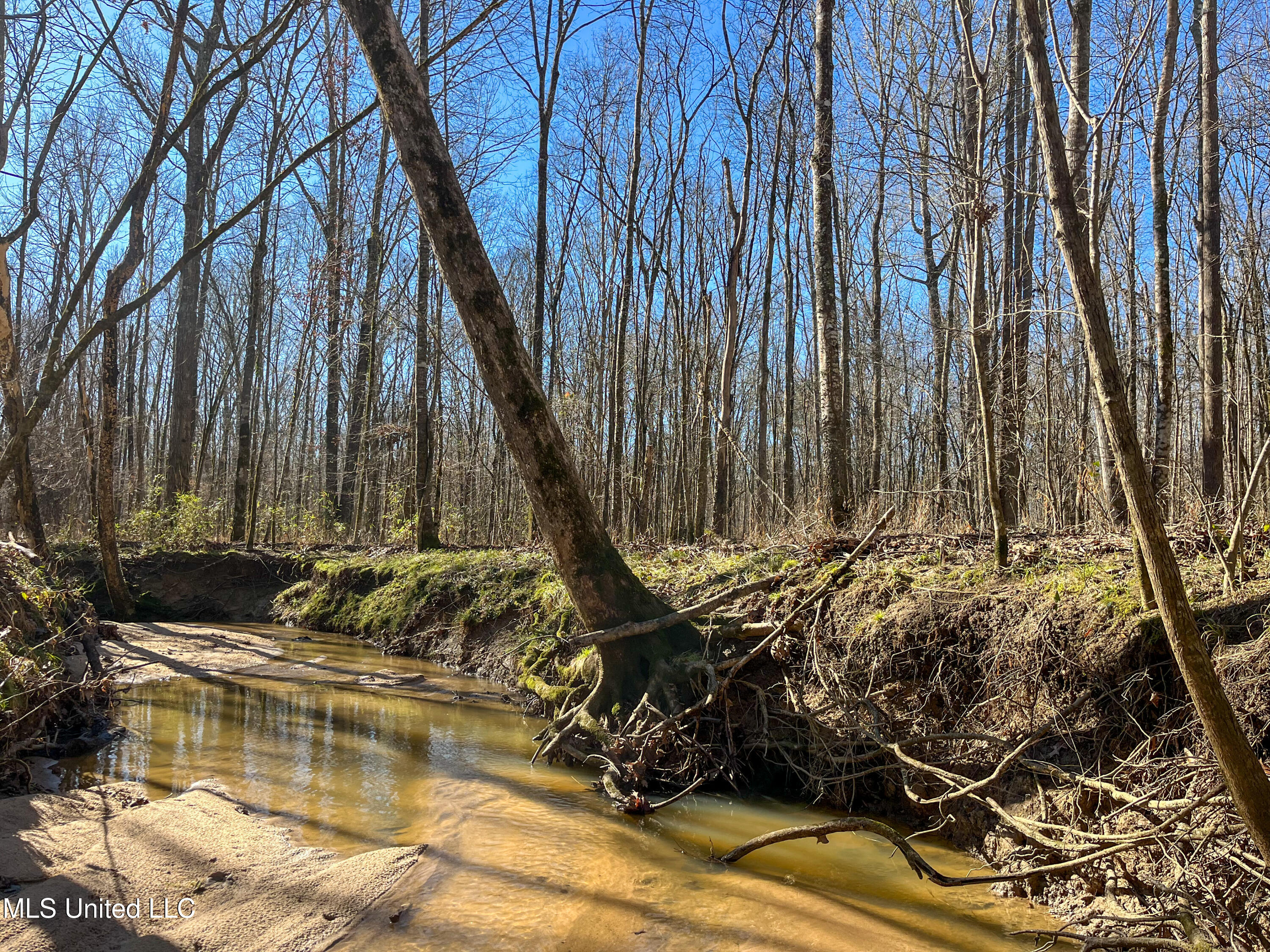 505 Highway Lawrence Ms 39336 Lawrence, MS 39336 - Photo 26 of 46 IMG_2037
