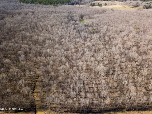 $99,311 | 505 Highway Lawrence Ms 39336, Lawrence, MS 39336