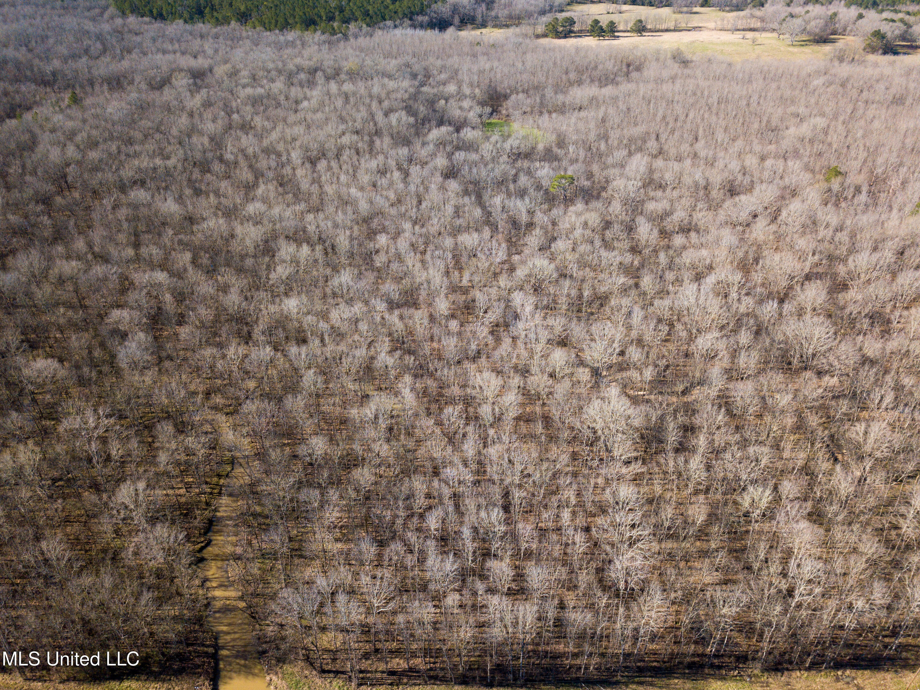 505 Highway Lawrence Ms 39336 Lawrence, MS 39336 - Photo 27 of 46 DJI_0716