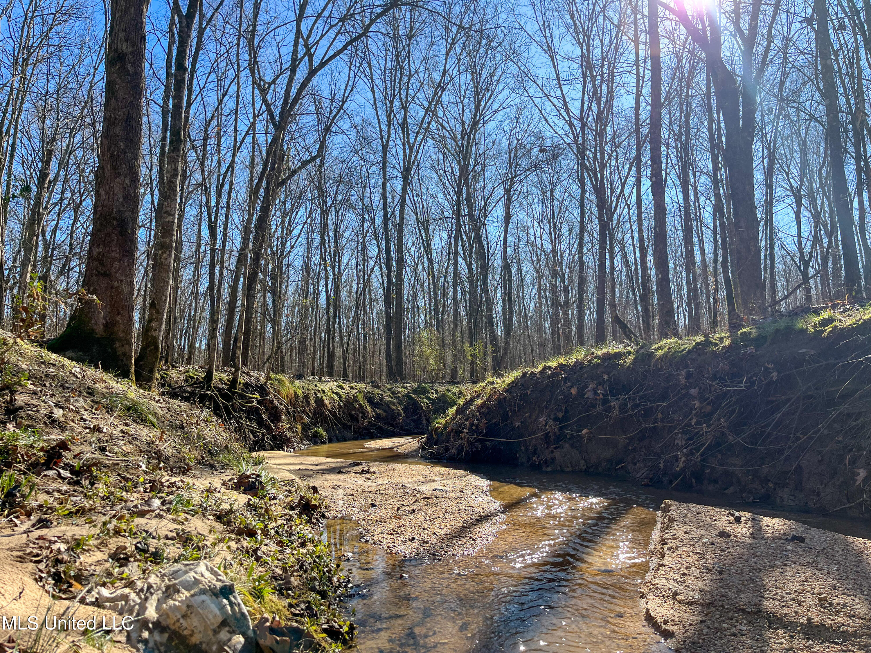 505 Highway Lawrence Ms 39336 Lawrence, MS 39336 - Photo 28 of 46 IMG_2040