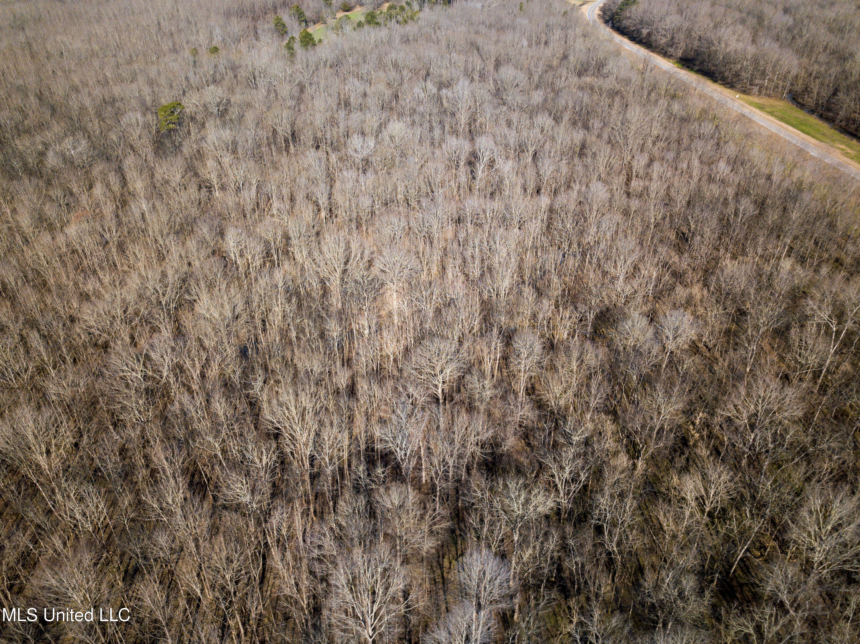 505 Highway Lawrence Ms 39336 Lawrence, MS 39336 - Photo 29 of 46 DJI_0707