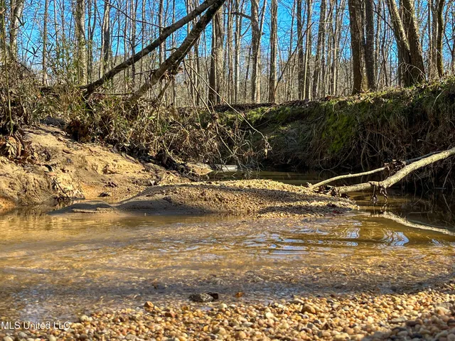 $99,311 | 505 Highway Lawrence Ms 39336, Lawrence, MS 39336