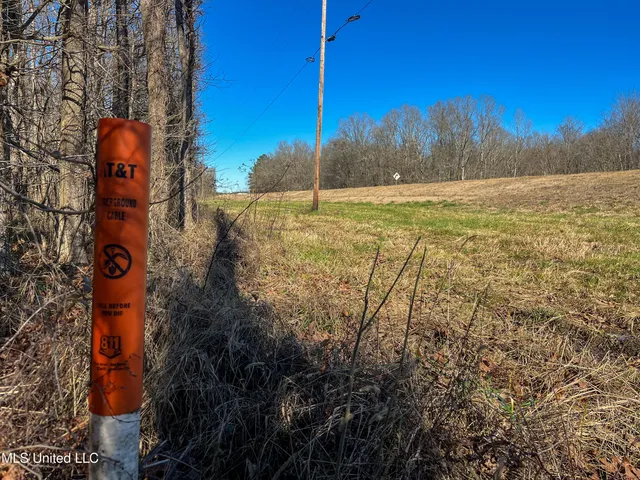 $99,311 | 505 Highway Lawrence Ms 39336, Lawrence, MS 39336