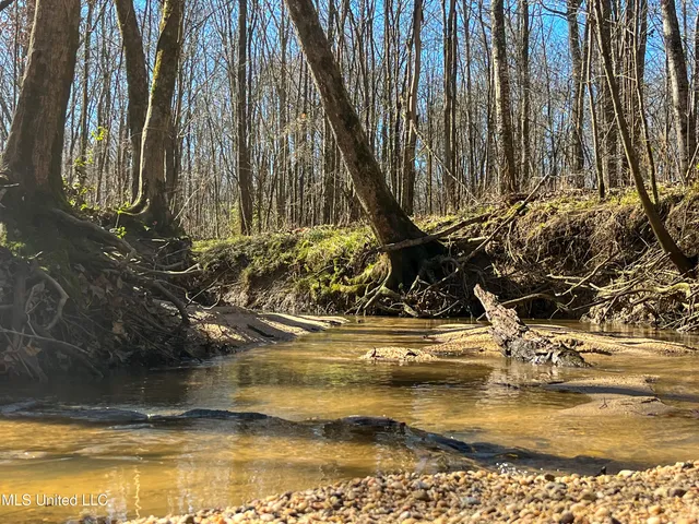 $99,311 | 505 Highway Lawrence Ms 39336, Lawrence, MS 39336