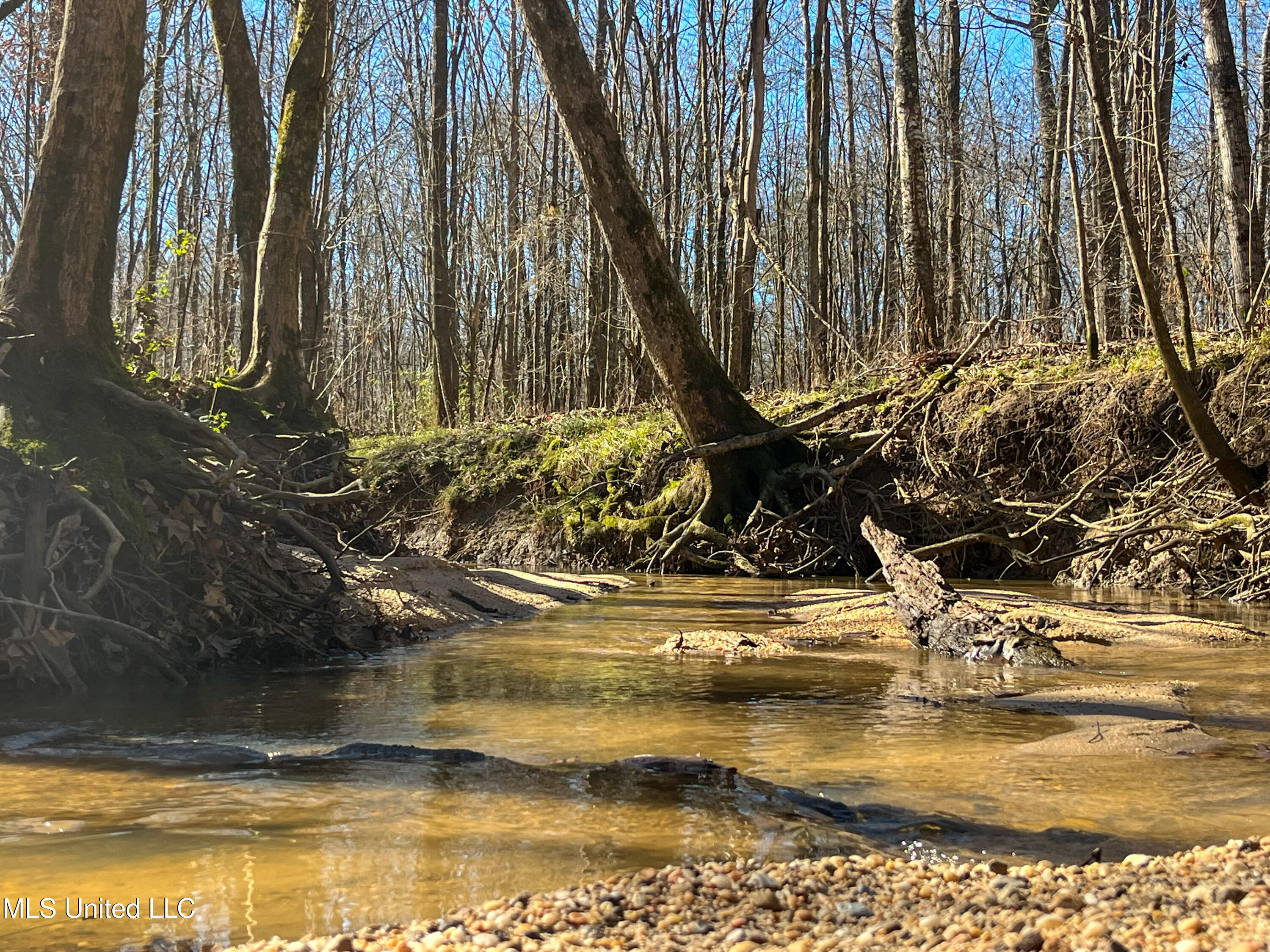 505 Highway Lawrence Ms 39336 Lawrence, MS 39336 - Photo 32 of 46 IMG_2035