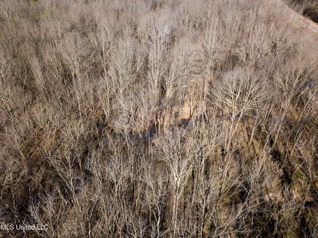 $99,311 | 505 Highway Lawrence Ms 39336, Lawrence, MS 39336