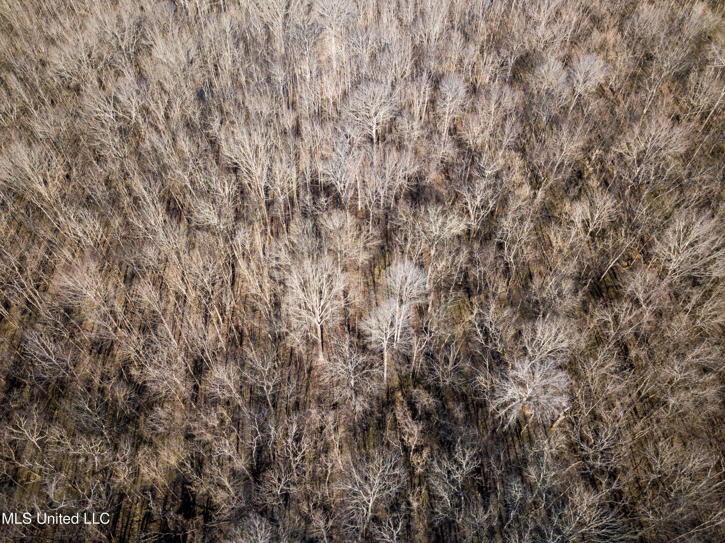 505 Highway Lawrence Ms 39336 Lawrence, MS 39336 - Photo 40 of 46 DJI_0706