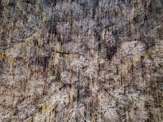 $99,311 | 505 Highway Lawrence Ms 39336, Lawrence, MS 39336