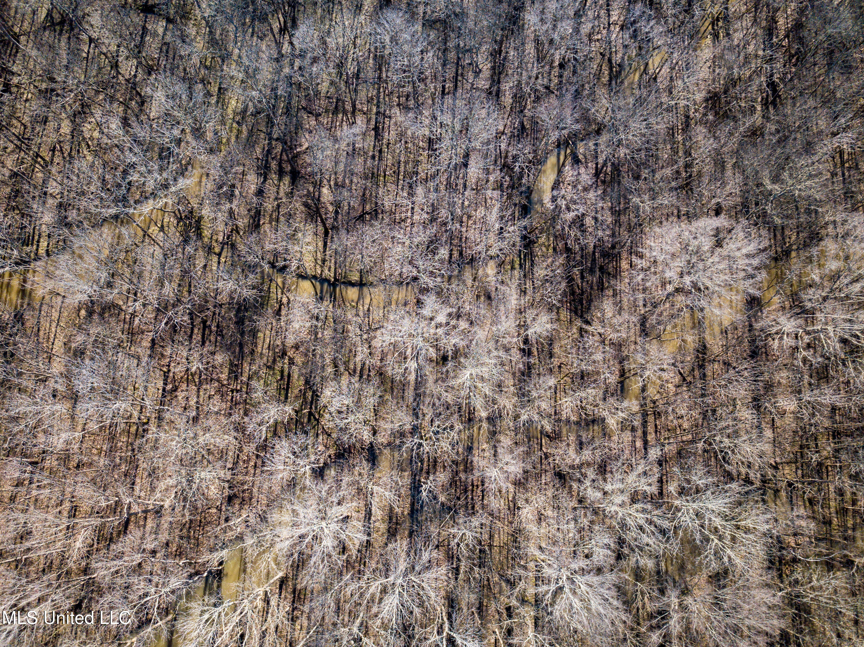 505 Highway Lawrence Ms 39336 Lawrence, MS 39336 - Photo 4 of 46 DJI_0708