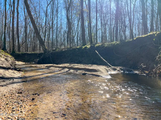 $99,311 | 505 Highway Lawrence Ms 39336, Lawrence, MS 39336